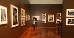 Foto: (Imagem sem texto alternativo disponivel ID [1850384])