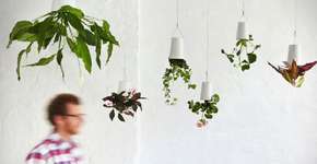Pouco espaço para as plantas? Empresa cria sistema para pendurar vasos de cabeça para baixo