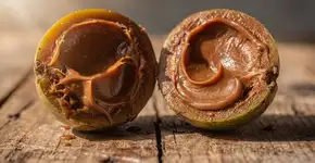 Foto: (Imagem sem texto alternativo disponivel ID [2732210])