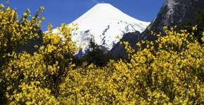 5 destinos baratos para ver neve na América do Sul