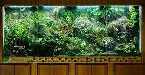 Foto: (real444/istock)