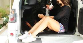 Foto: (Arquivo pessoal)