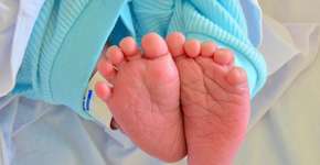 Foto: (Imagem de andre andre por Pixabay)