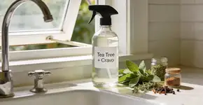 Foto: (Imagem sem texto alternativo disponivel ID [2679949])