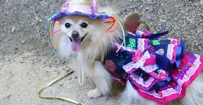 Foto: (Foto: Divulgação.)