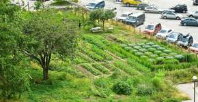 Foto: (Imagem sem texto alternativo disponivel ID [1894982])