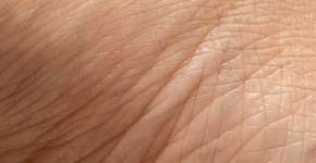 Foto: (sruilk/DepositPhotos)