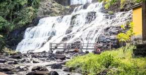 Foto: (Imagem sem texto alternativo disponivel ID [1479443])