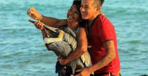 Foto: (Imagem sem texto alternativo disponivel ID [1056048])