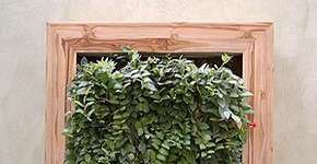 Foto: (Imagem sem texto alternativo disponivel ID [8833])