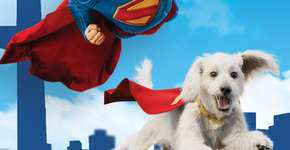 Foto: (Foto: Divulgação.)