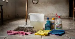 Foto: (Imagem sem texto alternativo disponivel ID [2711685])