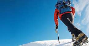 Foto: (Imagem sem texto alternativo disponivel ID [1869322])