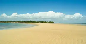 Foto: (Leoaraujo7/iStock)