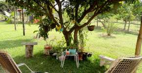 Caminho Caipira, um Oásis em meio à cana no interior de SP