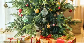 Entenda o ritual de colocar 4 moedas no pé da árvore de Natal no dia 24