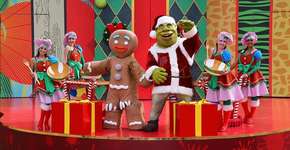 Beto Carrero tem ingressos com 60% de desconto