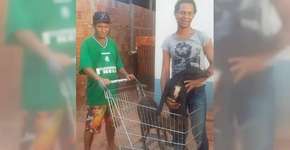 Casal viaja mais de 80 km a pé para não abandonar cães