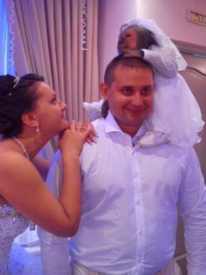 Alguns noivos não parecem se importar com essa data especial (Imagem: Divulgação) 