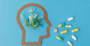 Foto: (Imagem sem texto alternativo disponivel ID [2615108])