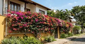 Foto: (Imagem sem texto alternativo disponivel ID [2752898])