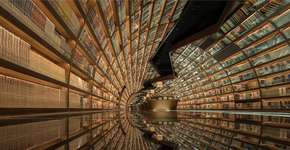 Foto: (Imagem sem texto alternativo disponivel ID [1837679])