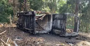 Encontrada van que foi roubada com 70 gatos resgatados por ONG