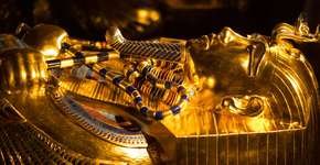 Tumba de faraó esconde fungo que pode revolucionar o tratamento do câncer