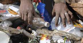 Foto: (Imagem sem texto alternativo disponivel ID [1869618])