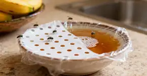 Eis a maneira mais fácil de manter as moscas longe da cozinha