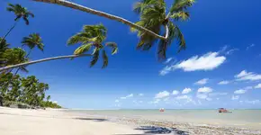 Foto: (Divulgação/Pousada Samba Pa Ti)