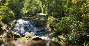 Foto: (Reprodução/https://guiadeareasprotegidas.sp.gov.br)