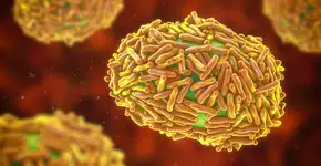 Foto: (Dr_Microbe/istock)