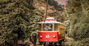 Festival do Pinhão é atração em Campos do Jordão (SP)