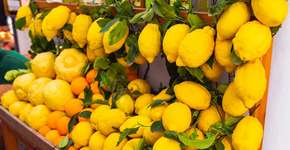 Sabia porque o Limão Siciliano é a fruta mais saudável do mundo