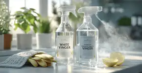 Sua casa fica livre de bactérias com dois produtos baratos