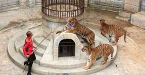 Animais são explorados há quase 20 anos em programa de TV