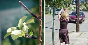 Foto: (Imagem sem texto alternativo disponivel ID [1839911])