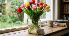 Vai trocar a água das suas tulipas? Eis por que você nunca deve jogar fora a água “velha”.