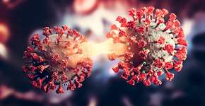 OMS diz que variante Ômicron representa risco elevado para o mundo