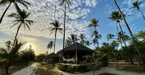 Foto: (Divulgação/Corona)