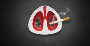 Foto: (iStock/dem10)