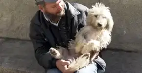 Moradores de rua recusam ir a abrigos para não deixar seus cães sozinhos