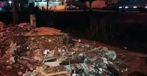 Flores nascem no lugar do lixo e renovam esperança no Rio