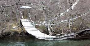 Foto: (Imagem sem texto alternativo disponivel ID [1868556])