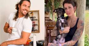 Cachorro vira herói ao atacar machista de ‘Casamento às Cegas’