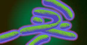 Foto: (smartboy10/istock)