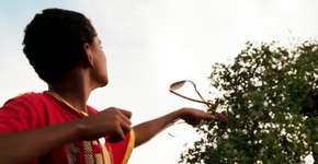 Foto: (Imagem sem texto alternativo disponivel ID [1607810])