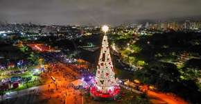 5 lugares imperdíveis para ver decorações de Natal em São Paulo
