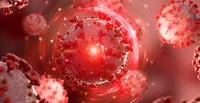 Foto: (sdecoret/DepositPhotos)